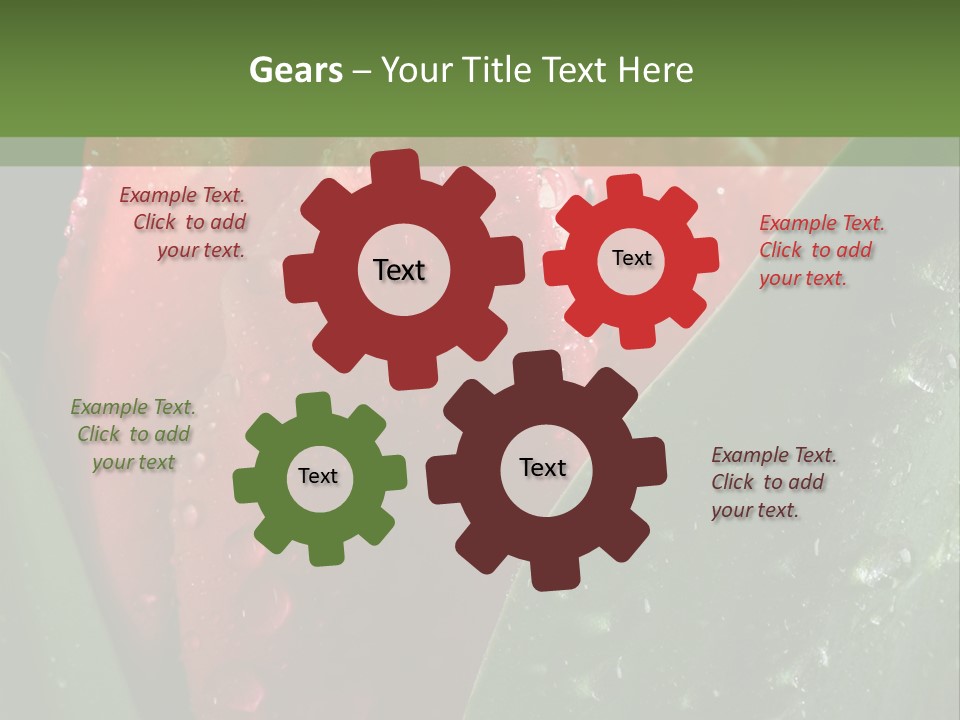 Profe Ional Li Ten Office PowerPoint Template