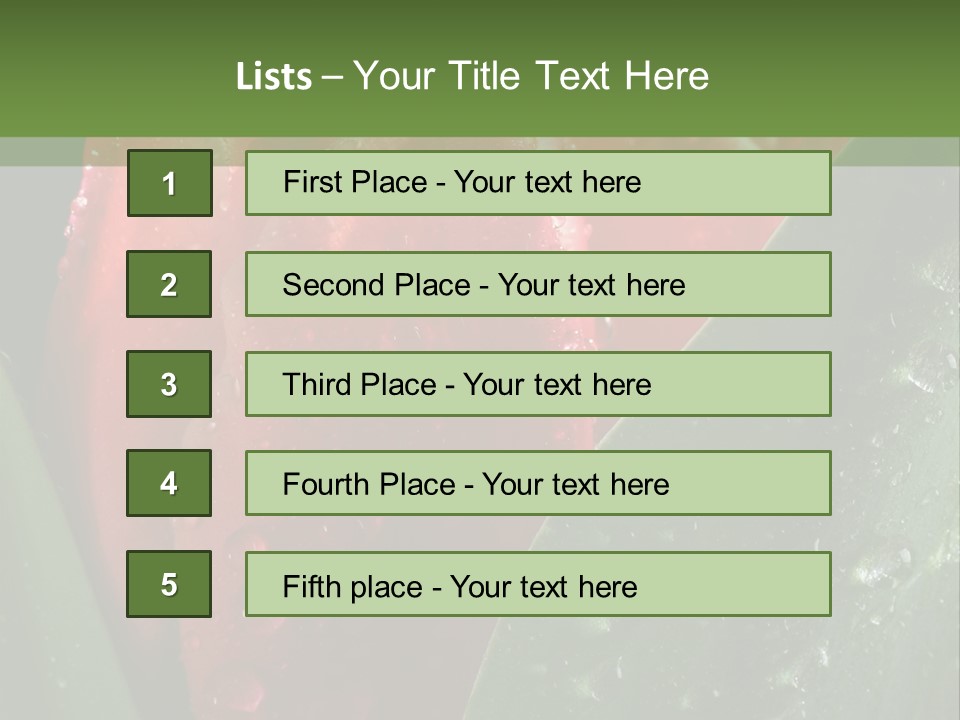 Profe Ional Li Ten Office PowerPoint Template