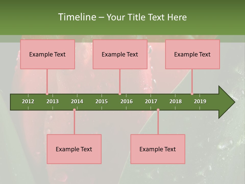 Profe Ional Li Ten Office PowerPoint Template