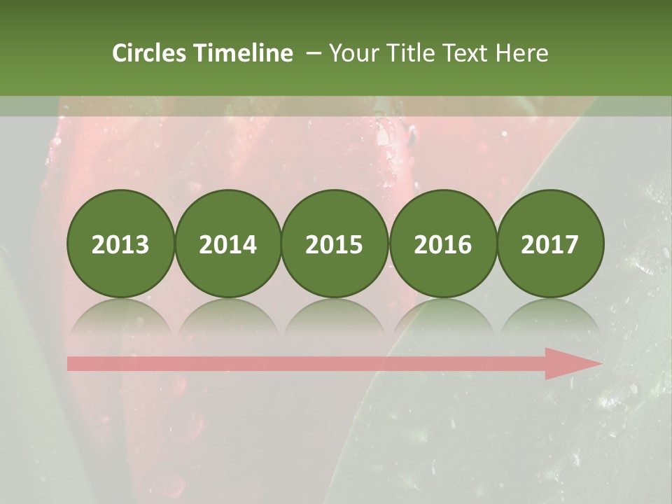 Profe Ional Li Ten Office PowerPoint Template