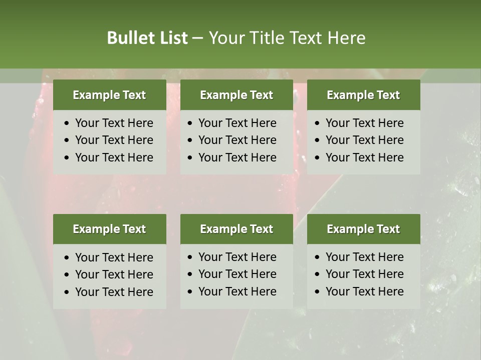 Profe Ional Li Ten Office PowerPoint Template