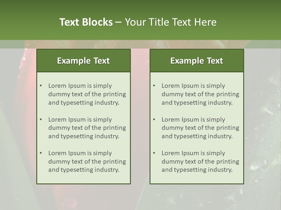 Profe Ional Li Ten Office PowerPoint Template