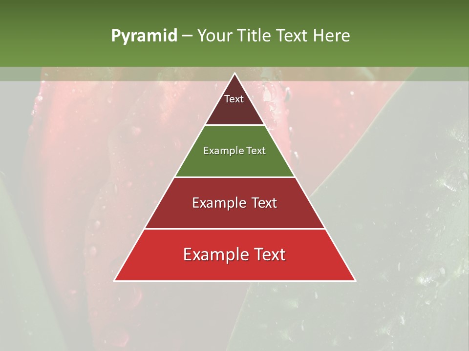 Profe Ional Li Ten Office PowerPoint Template