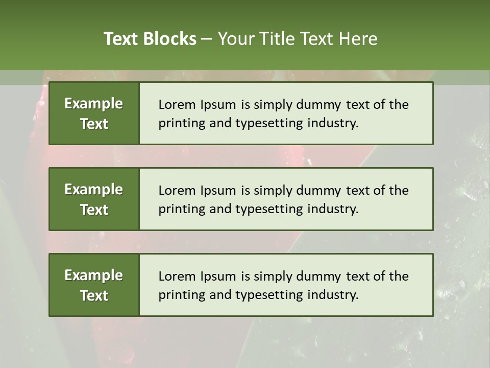 Profe Ional Li Ten Office PowerPoint Template