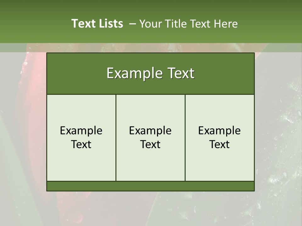 Profe Ional Li Ten Office PowerPoint Template