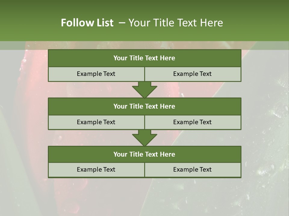 Profe Ional Li Ten Office PowerPoint Template