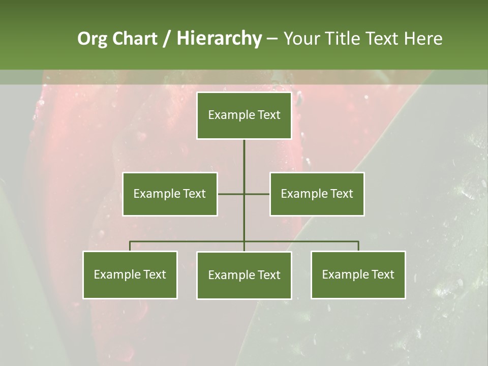 Profe Ional Li Ten Office PowerPoint Template