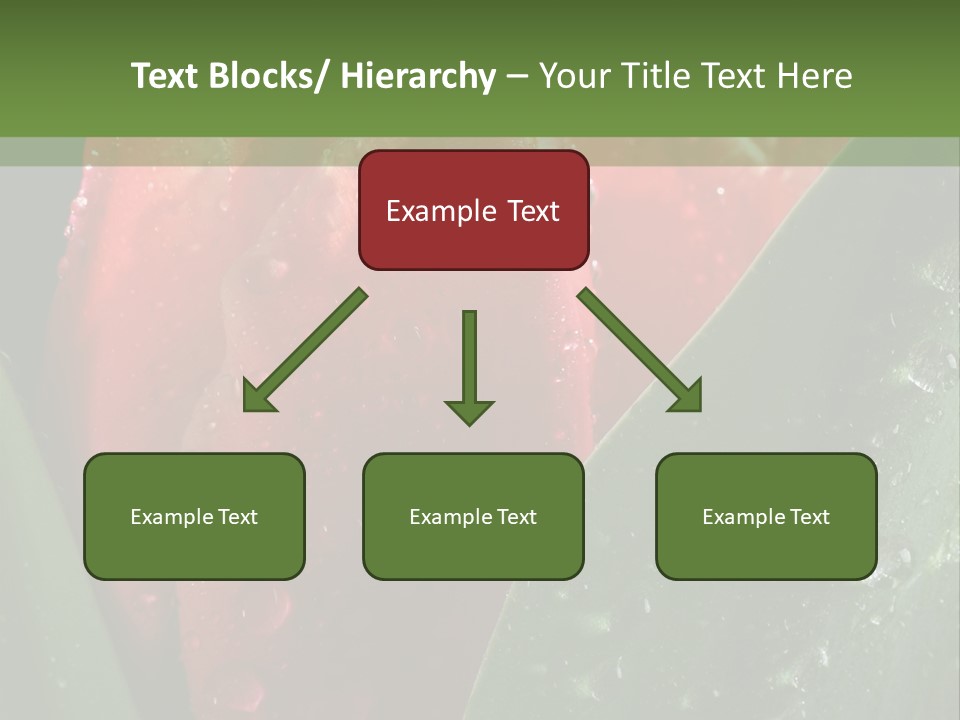 Profe Ional Li Ten Office PowerPoint Template