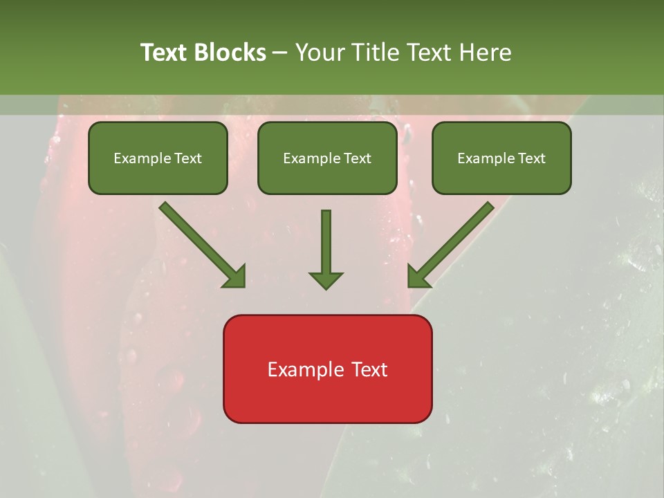 Profe Ional Li Ten Office PowerPoint Template