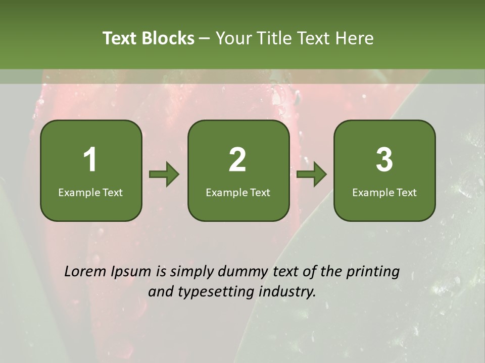 Profe Ional Li Ten Office PowerPoint Template