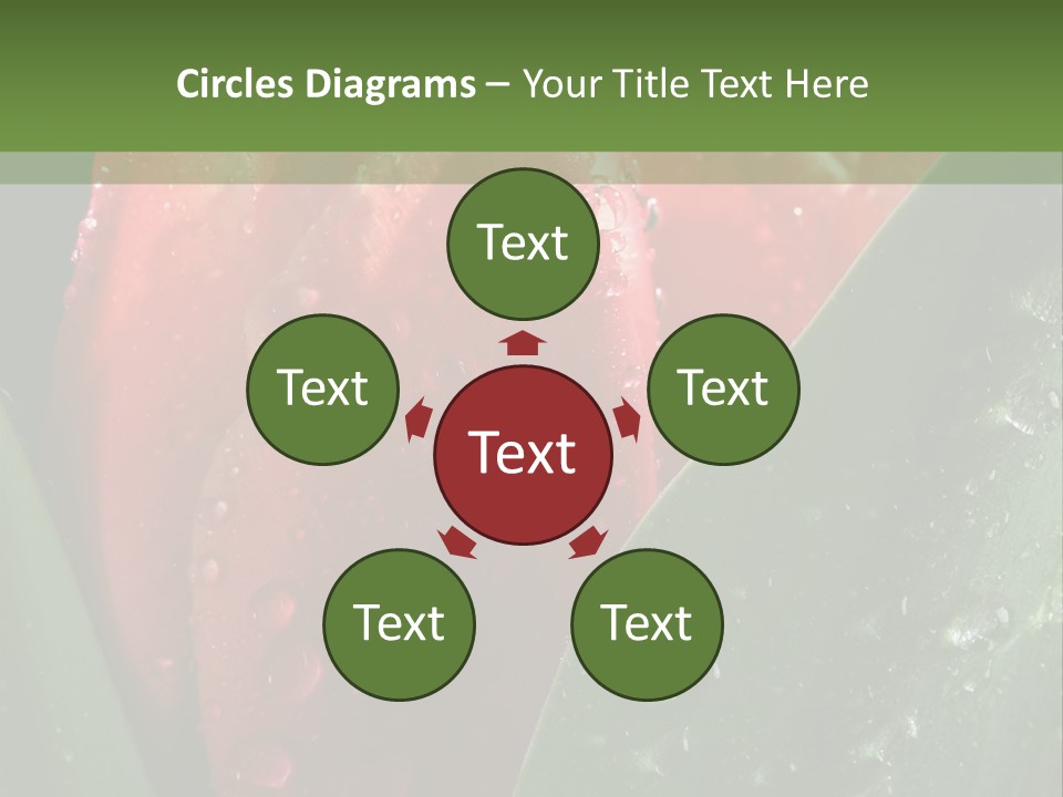 Profe Ional Li Ten Office PowerPoint Template