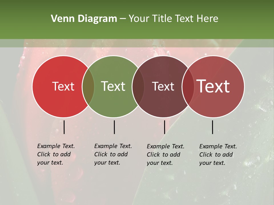 Profe Ional Li Ten Office PowerPoint Template