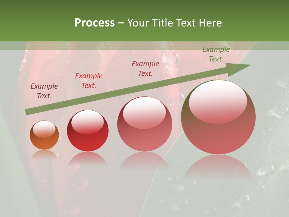 Profe Ional Li Ten Office PowerPoint Template