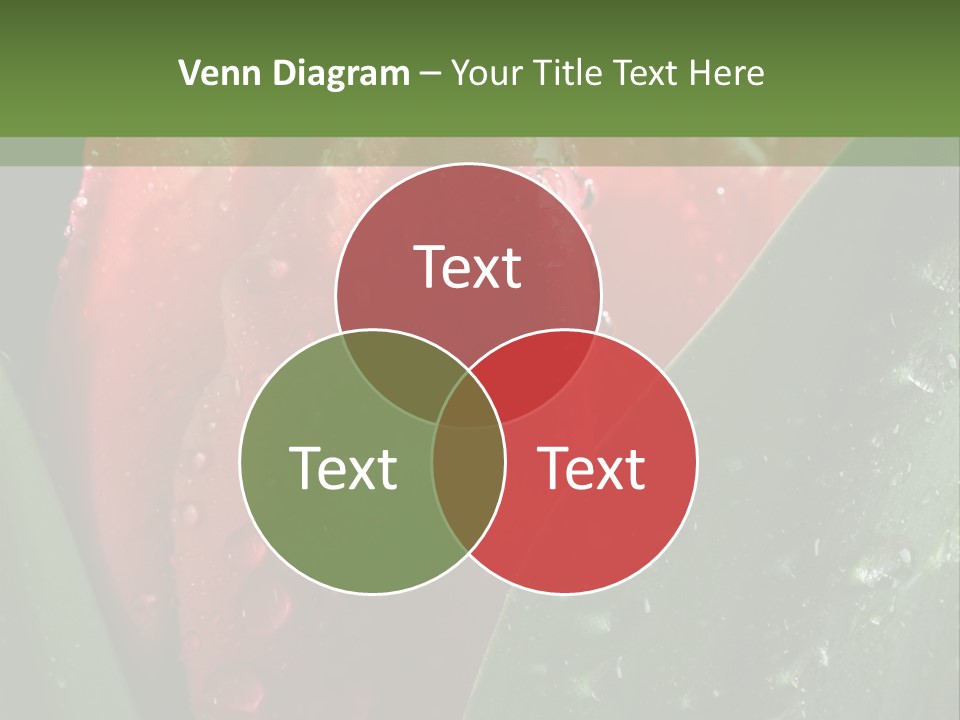 Profe Ional Li Ten Office PowerPoint Template