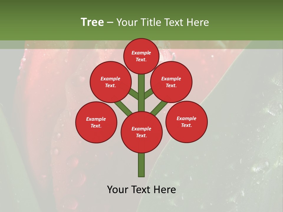 Profe Ional Li Ten Office PowerPoint Template