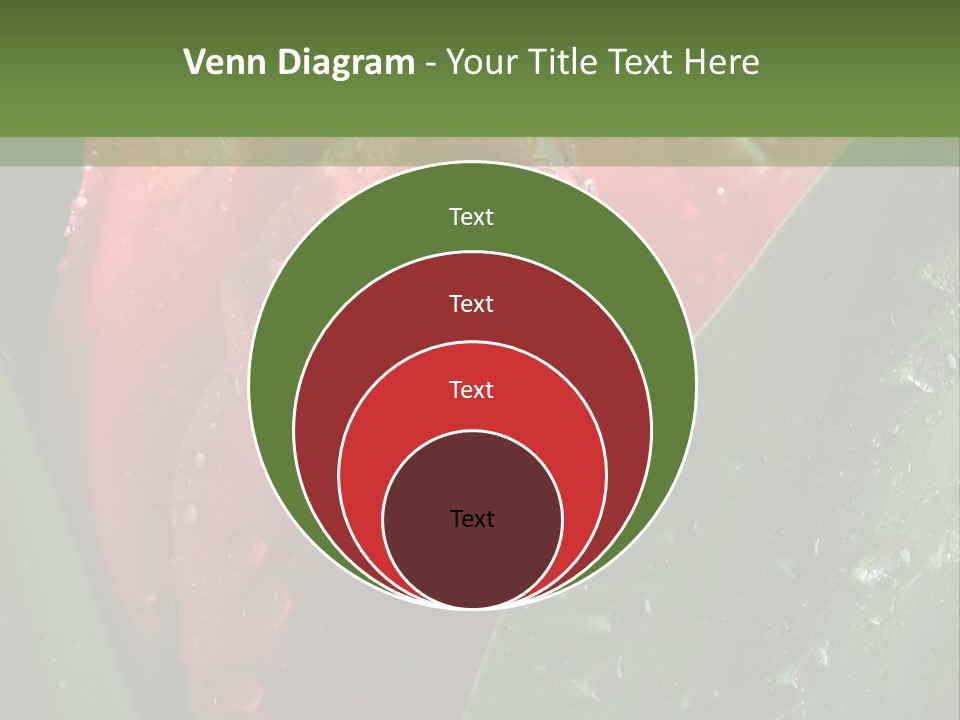 Profe Ional Li Ten Office PowerPoint Template