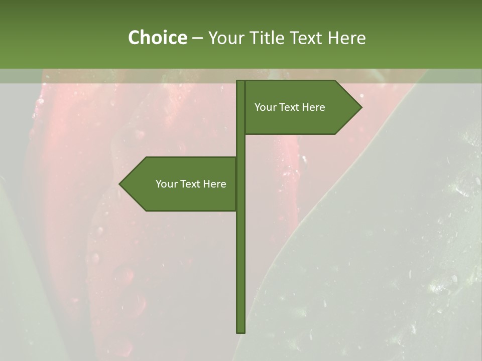 Profe Ional Li Ten Office PowerPoint Template