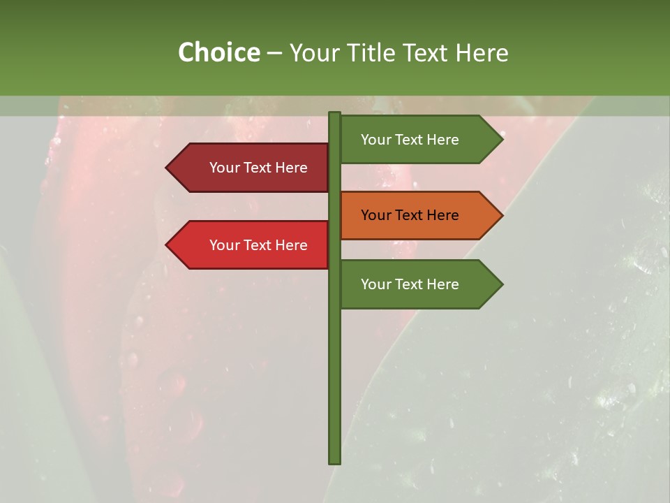 Profe Ional Li Ten Office PowerPoint Template