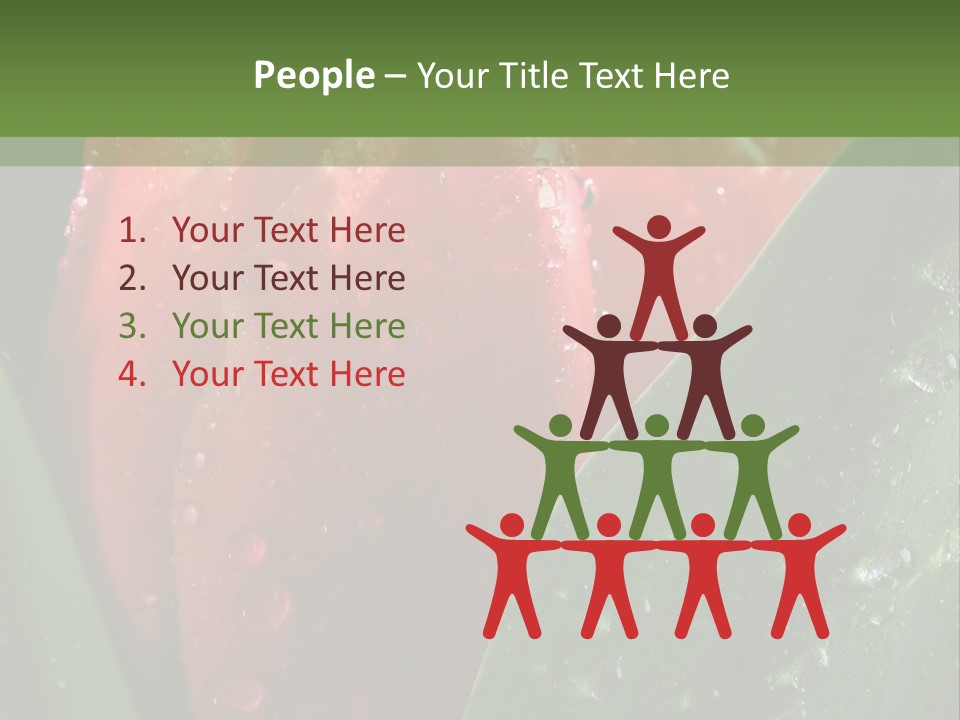 Profe Ional Li Ten Office PowerPoint Template