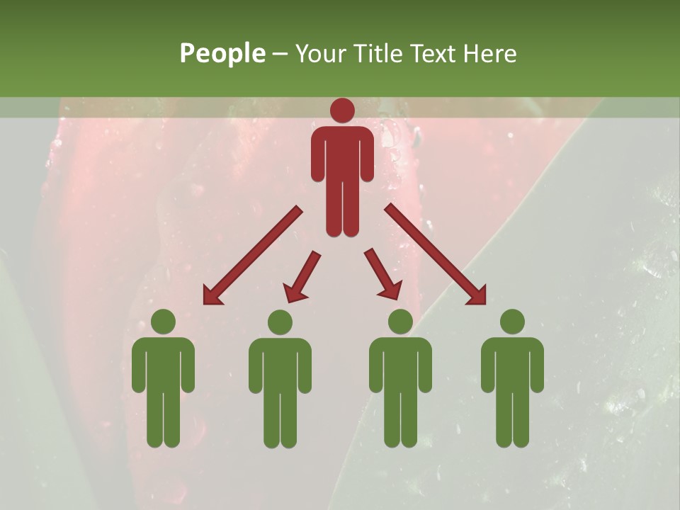 Profe Ional Li Ten Office PowerPoint Template