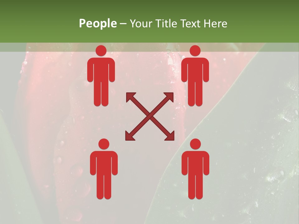 Profe Ional Li Ten Office PowerPoint Template