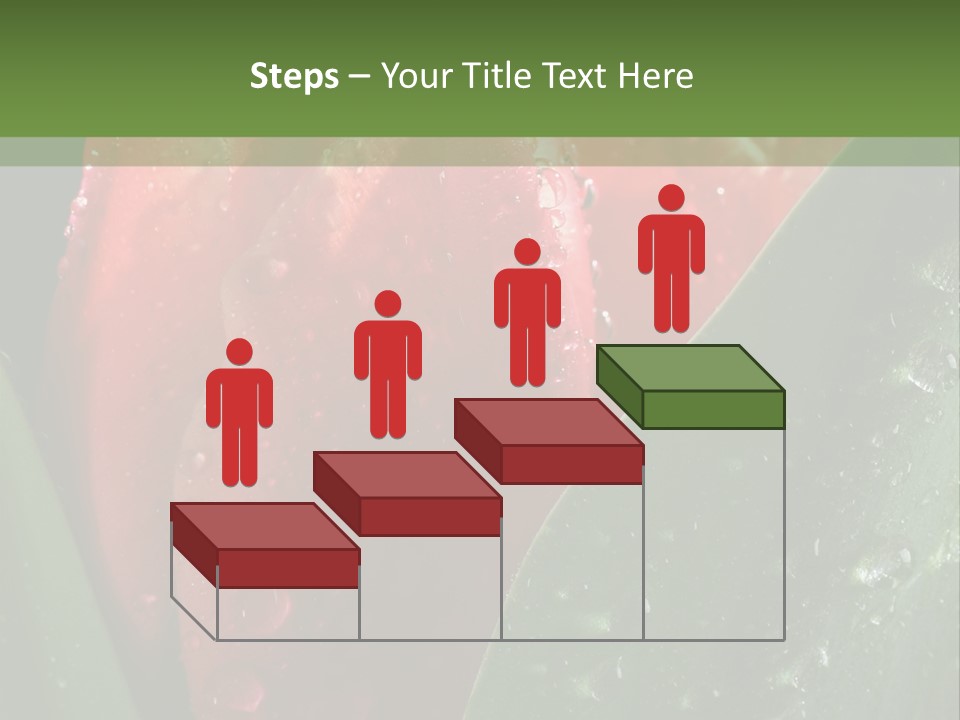 Profe Ional Li Ten Office PowerPoint Template