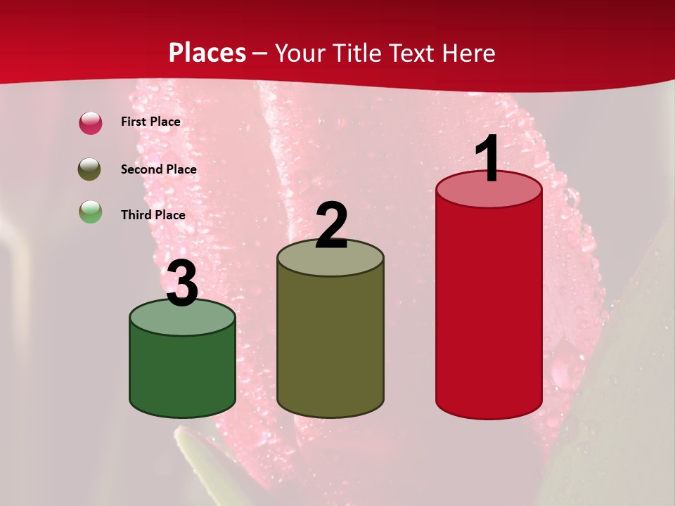 Profe Ional Meeting Boardroom PowerPoint Template