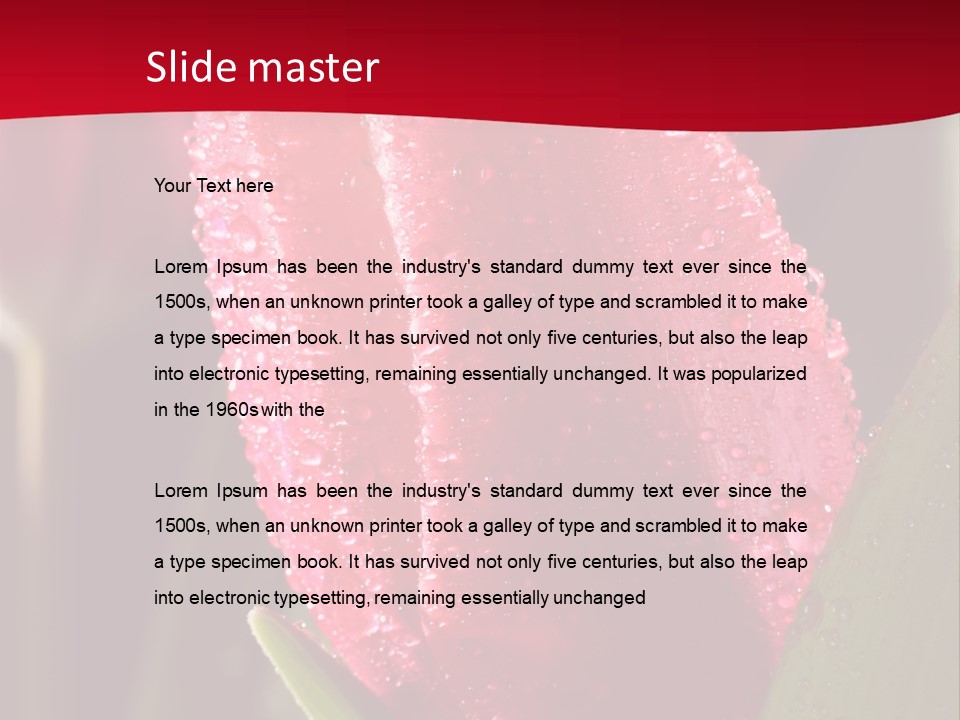 Profe Ional Meeting Boardroom PowerPoint Template