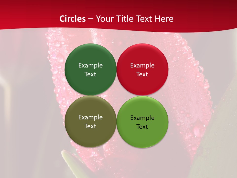 Profe Ional Meeting Boardroom PowerPoint Template