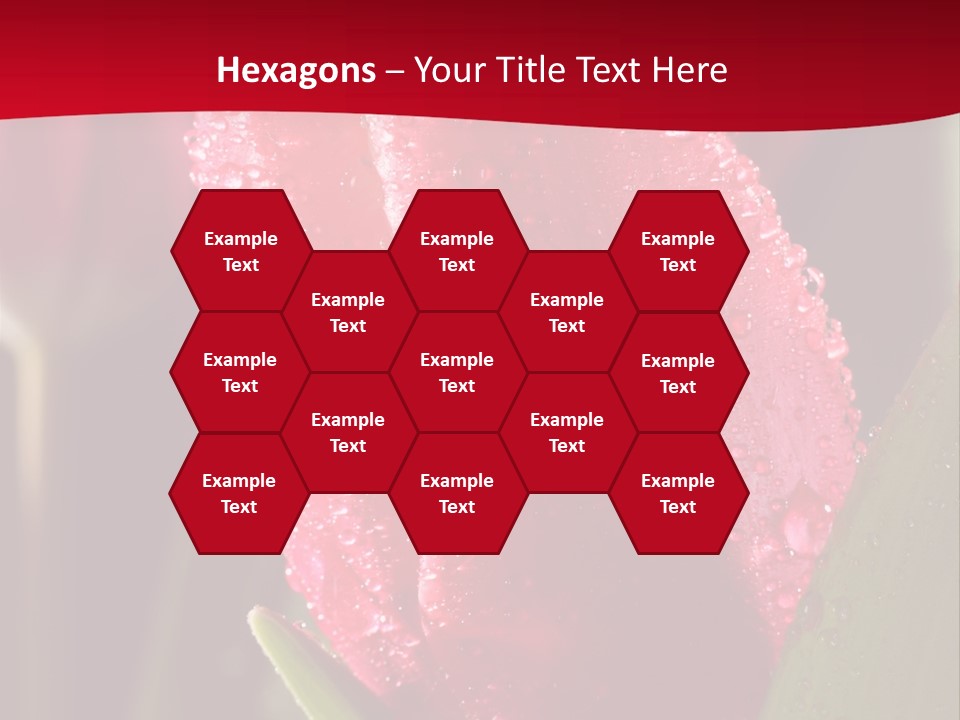 Profe Ional Meeting Boardroom PowerPoint Template