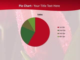 Profe Ional Meeting Boardroom PowerPoint Template