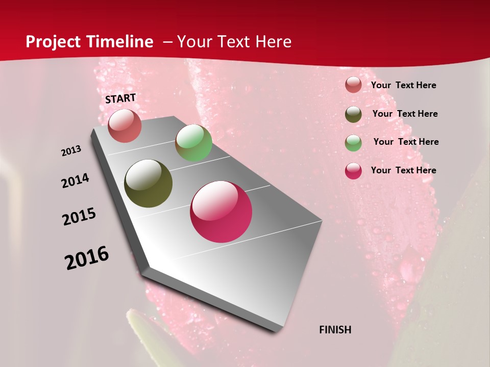 Profe Ional Meeting Boardroom PowerPoint Template