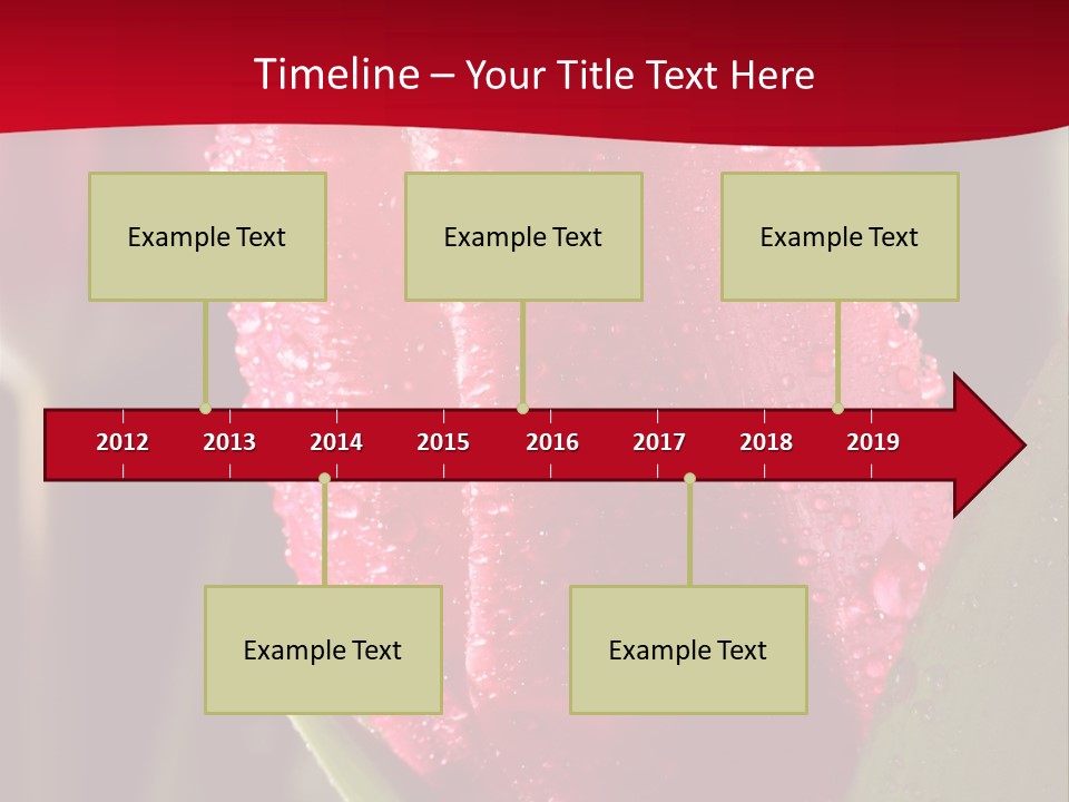 Profe Ional Meeting Boardroom PowerPoint Template