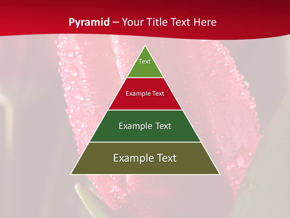 Profe Ional Meeting Boardroom PowerPoint Template