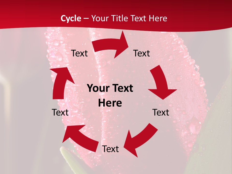 Profe Ional Meeting Boardroom PowerPoint Template