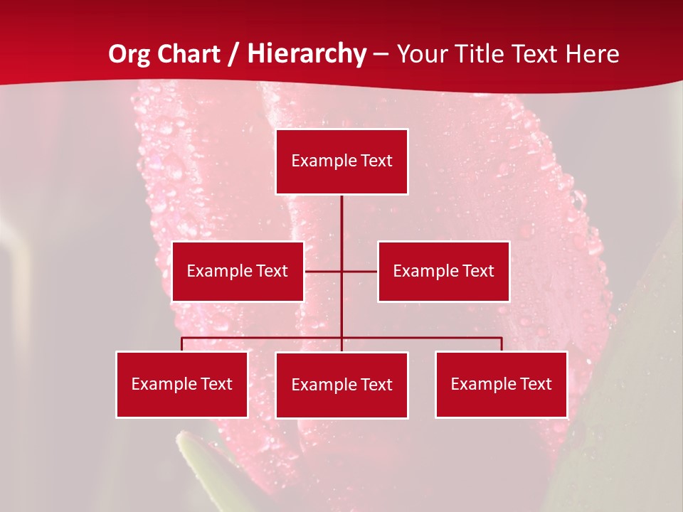 Profe Ional Meeting Boardroom PowerPoint Template