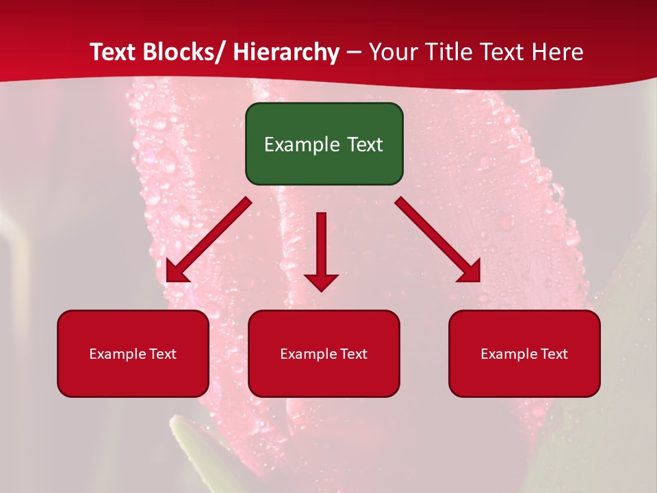 Profe Ional Meeting Boardroom PowerPoint Template