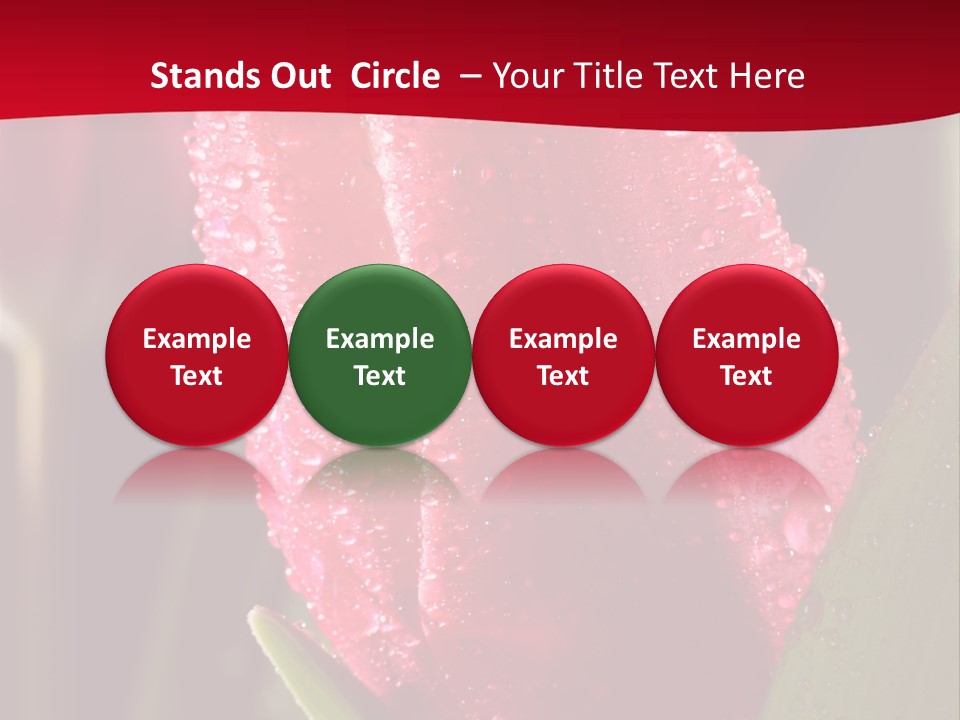 Profe Ional Meeting Boardroom PowerPoint Template