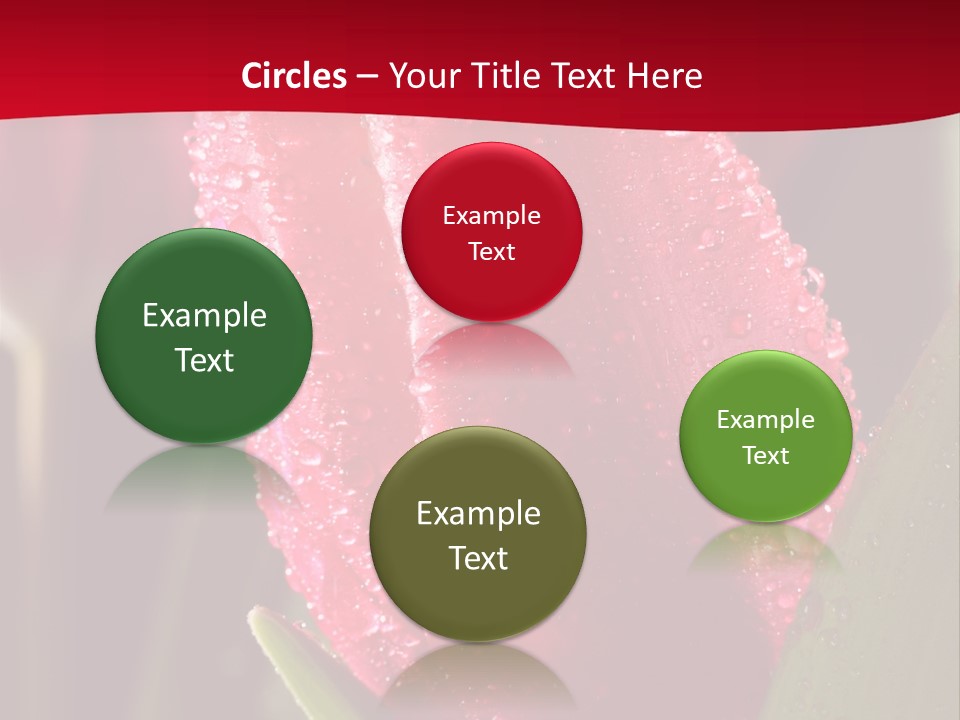 Profe Ional Meeting Boardroom PowerPoint Template