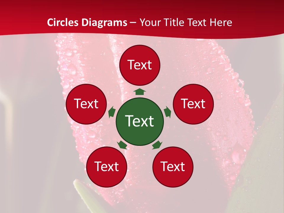 Profe Ional Meeting Boardroom PowerPoint Template