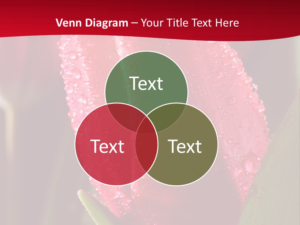 Profe Ional Meeting Boardroom PowerPoint Template