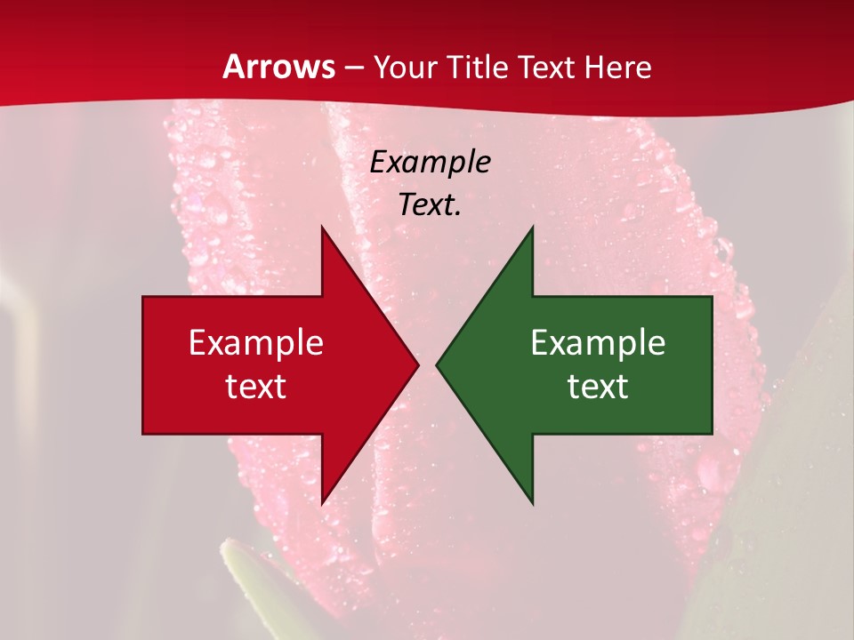 Profe Ional Meeting Boardroom PowerPoint Template