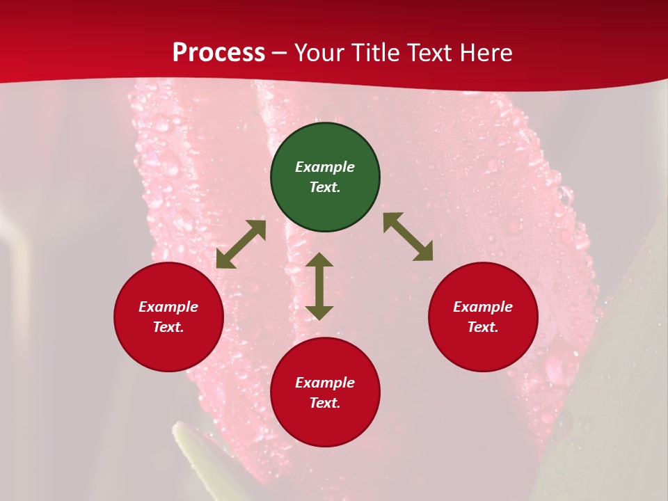 Profe Ional Meeting Boardroom PowerPoint Template