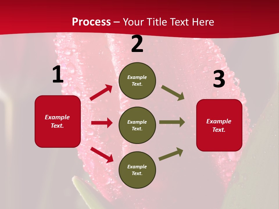 Profe Ional Meeting Boardroom PowerPoint Template