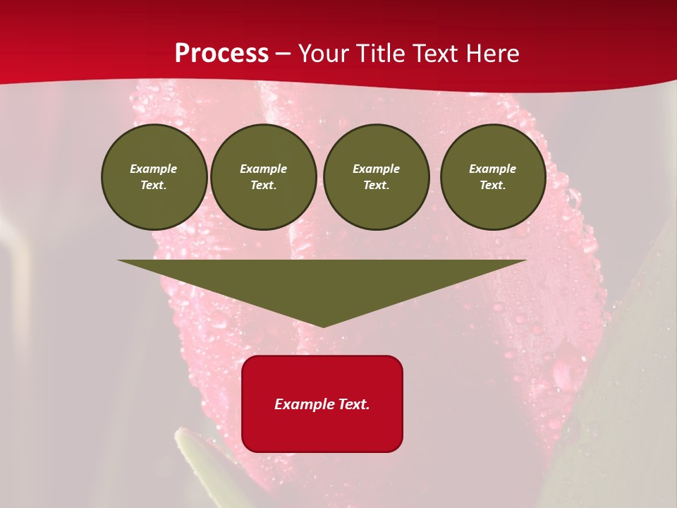 Profe Ional Meeting Boardroom PowerPoint Template