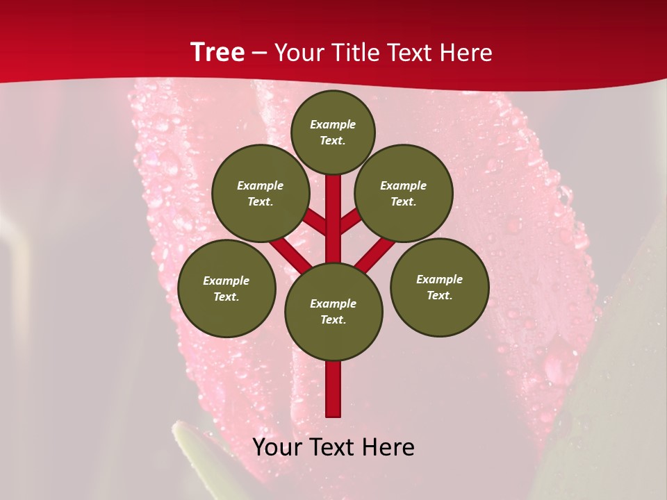 Profe Ional Meeting Boardroom PowerPoint Template