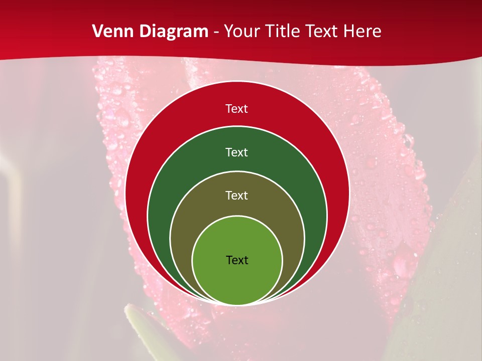 Profe Ional Meeting Boardroom PowerPoint Template