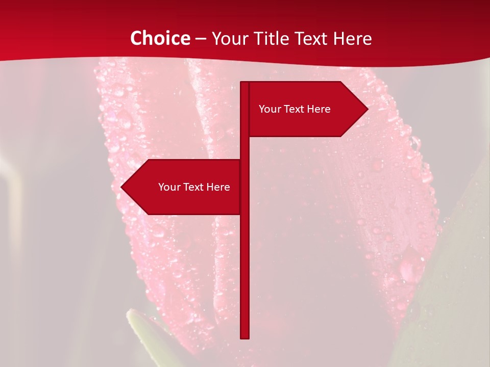 Profe Ional Meeting Boardroom PowerPoint Template