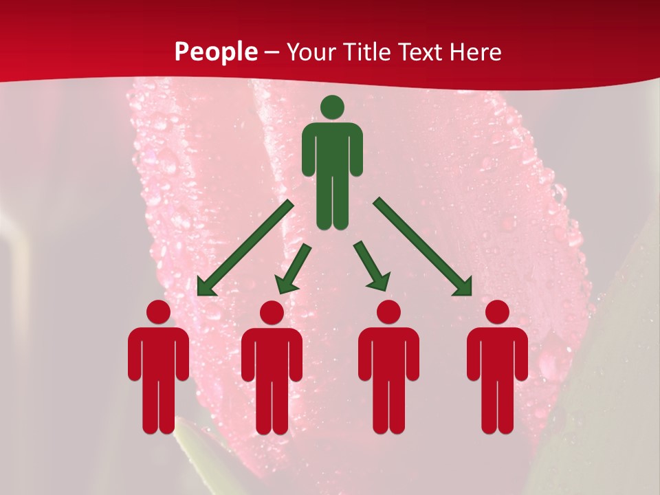 Profe Ional Meeting Boardroom PowerPoint Template