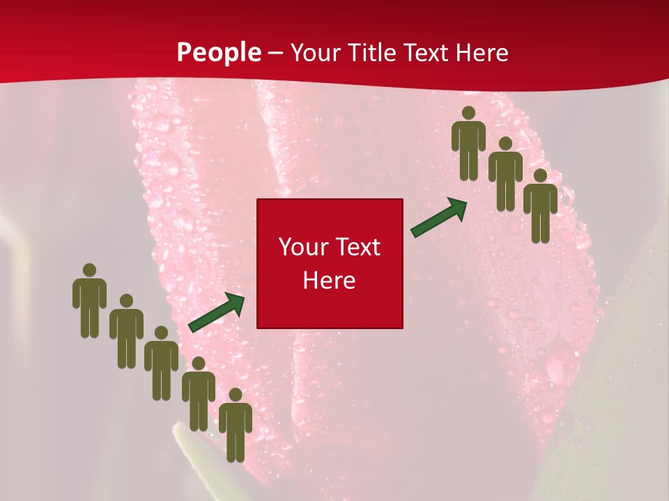 Profe Ional Meeting Boardroom PowerPoint Template